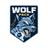 Wolf Pack FC